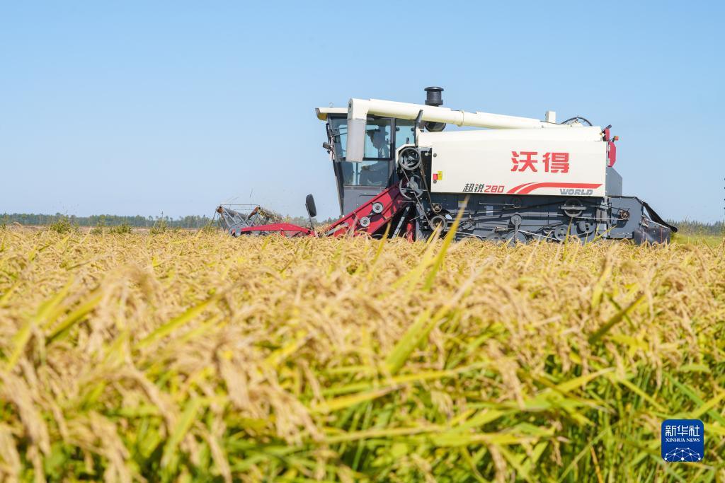 必胜亚洲游戏